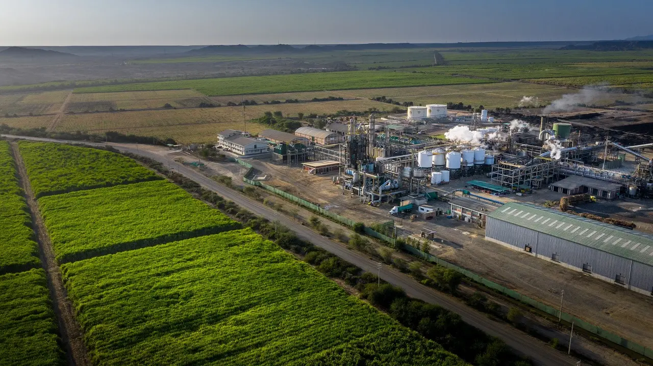 Mercado de agroquímicos